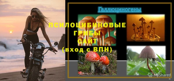 твердый Абаза