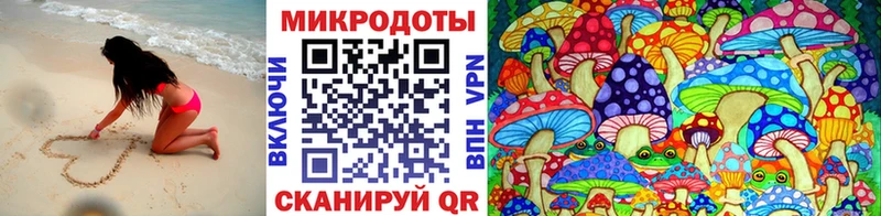 закладки  Янаул  Галлюциногенные грибы Psilocybe 