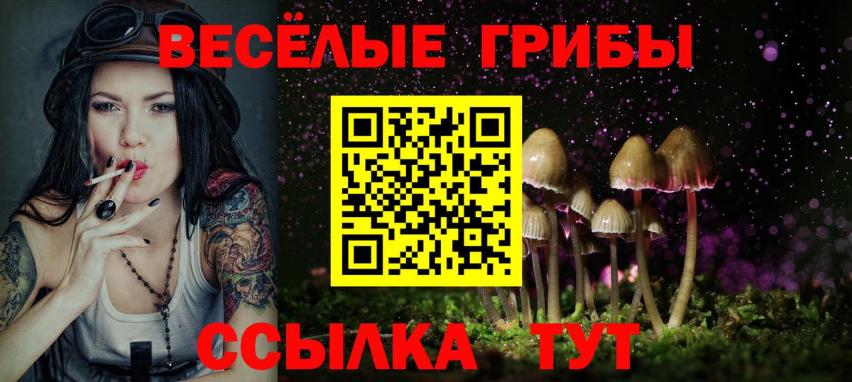 наркошоп  Галлюциногенные грибы Cubensis  Вход с VPN  Галлюциногенные грибы MAGIC MUSHROOMS  Янаул 
